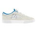 Lakai Cambridge Rip N Dip Nermal Grey Skate Shoes